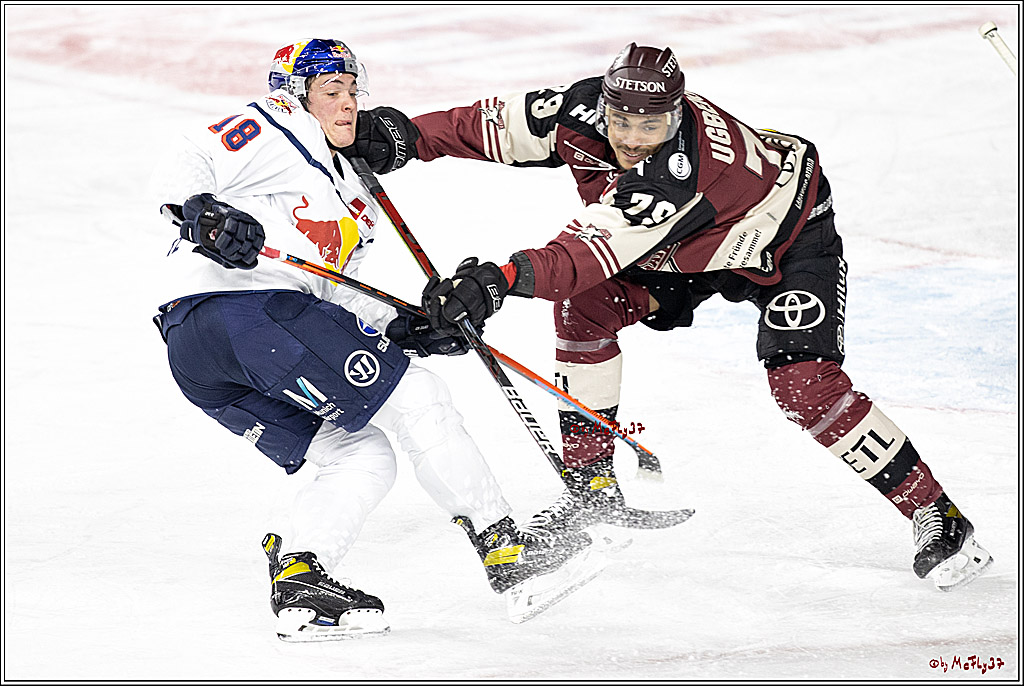 PENNY DEL;  Koelner Haie - EHC Red Bull Muenchen; Koeln, 31.03.2021